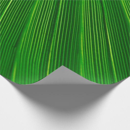 Bladeren plant achtergrond palm groen cadeaupapier (Hoek)