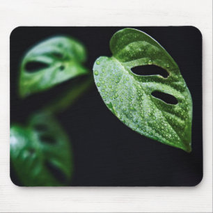Bladeren, Plant, Natuur Muismat