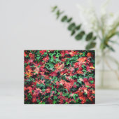 Bladeren - rood en groen briefkaart (Staand voorkant)