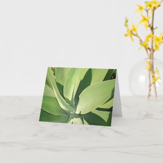 Bladeren & Schaduwen v2 Kaart (Gele Bloem)