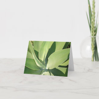 Bladeren & Schaduwen v2 Kaart