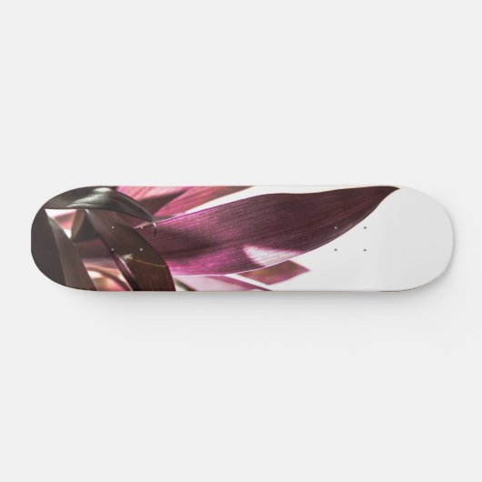 bladeren skateboard (Horizontaal)