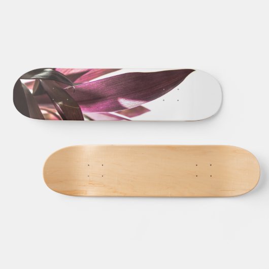 bladeren skateboard (Horizontaal)