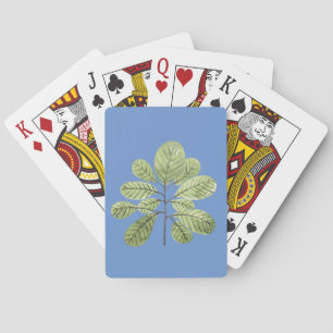 Bladeren Tak Loof Plant Flora Pokerkaarten