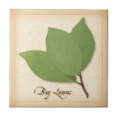 Bladeren Tegeltje (Voorkant)