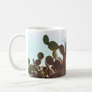 Bladeren van cactus. Plant buitenshuis met zonlich Koffiemok
