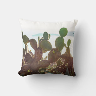 Bladeren van cactus. Plant buitenshuis met zonlich Kussen