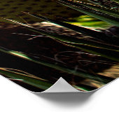 Bladeren van cactus. Plant buitenshuis met zonlich Poster (Hoek)