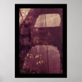 bladeren van de brug poster (Voorkant)