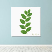 Bladeren van de laurierplant canvas afdruk (Insitu (Houten vloer))