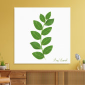 Bladeren van de laurierplant canvas afdruk (Insitu (Woonkamer))