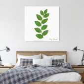 Bladeren van de laurierplant canvas afdruk (Insitu (Slaapkamer))