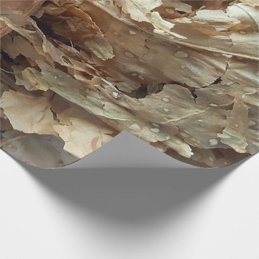 bladeren van gedroogde tabak cadeaupapier (Hoek)