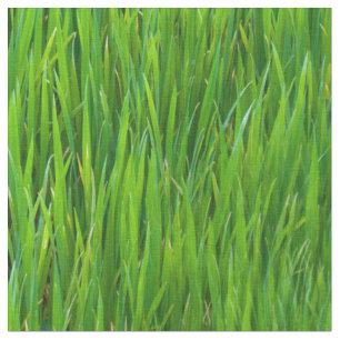 bladeren van gras stof
