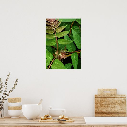 Bladeren van hemelbladeren poster (Keuken)