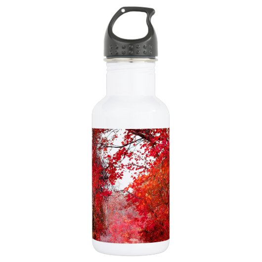 Bladeren van het Blad van de Douche van het Park Waterfles (Voorkant)