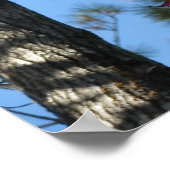 Bladeren van hout in de herfst poster (Hoek)