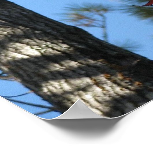 Bladeren van hout in de herfst poster (Hoek)