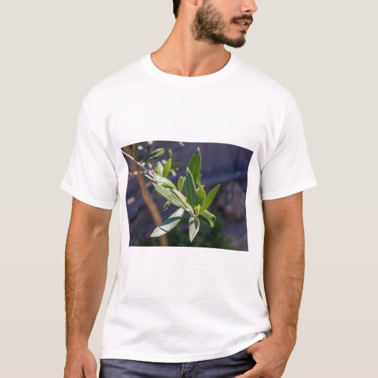 Bladeren van olijfbomen t-shirt (Voorkant)