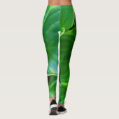 Bladeren van planten uit hosta leggings (Achterkant)