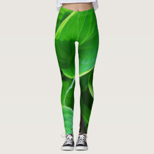 Bladeren van planten uit hosta leggings