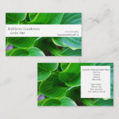 Bladeren van planten uit hosta visitekaartje (Voorkant / Achterkant)