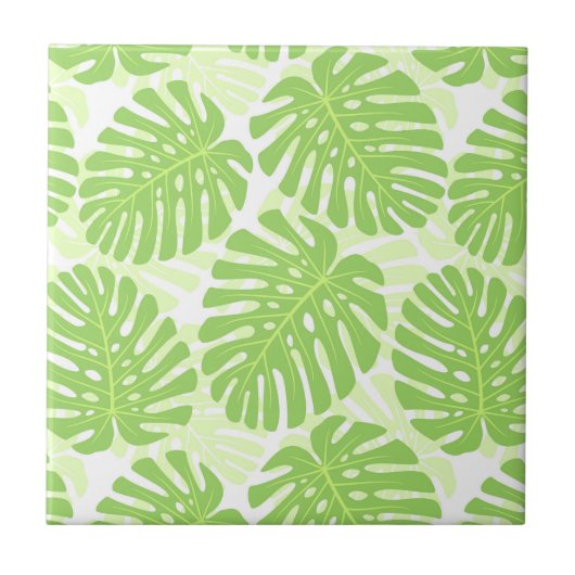 Bladeren van tropisch Plant - Monstera Pattern Tegeltje (Voorkant)