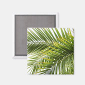Bladeren van tropische palmbomen — zomerfoto magneet (Voorkant / Achterkant)