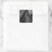 bladeren vierkante sticker (Tas)