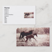 Bladeren voor joifmeel en merrie visitekaartje (Voorkant / Achterkant)