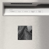 bladeren zijn magneet (Insitu (Vaatwasser))