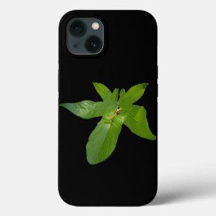 "Bladerige Haven: Een Kleine Groene Kikker op een Case-Mate iPhone Case