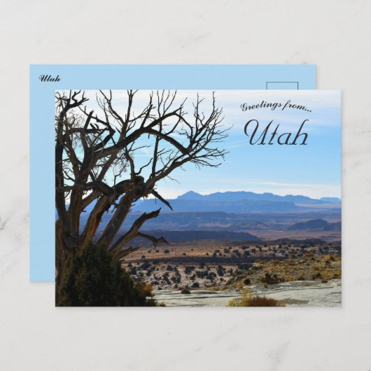 Bladerloze Boom in Utah Briefkaart (Voorkant / Achterkant)