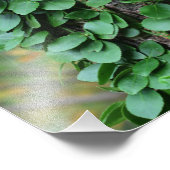 Bladgroene wijnstok groeit op boomstam 8x10 foto afdruk (Hoek)