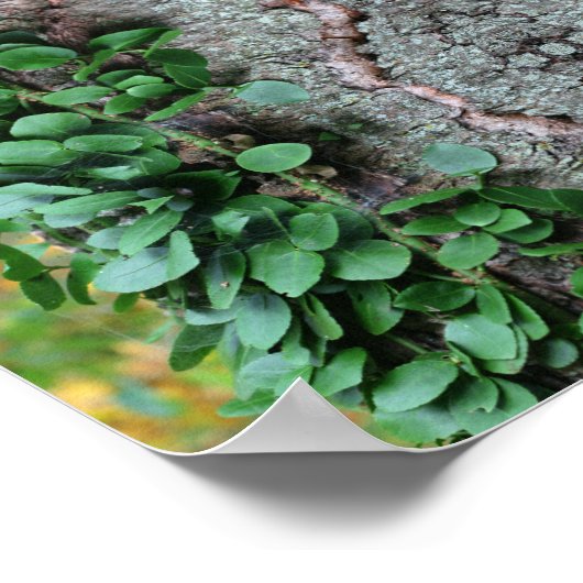 Bladgroene wijnstok op boomspiegel Abstract Poster (Hoek)