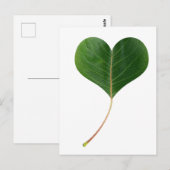 Bladhart Briefkaart (Voorkant / Achterkant)