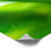 Bladkever op Plant Poster (Hoek)