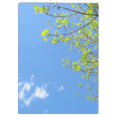 bladklembord klembord (Achterkant)