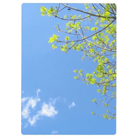 bladklembord klembord (Achterkant)