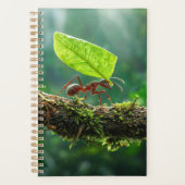 Bladkniptemier 2027 Planner (Voorkant)