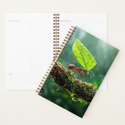 Bladkniptemier 2027 Planner (Display)