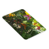 Bladleder en Butterflies Premium Magnet Magneet (Rechterzijde)