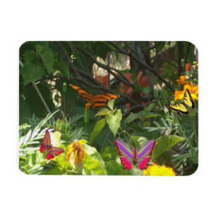 Bladleder en Butterflies Premium Magnet Magneet
