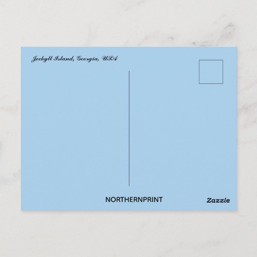 Bladloze Boom in Jeckyll Island Georgia USA Briefkaart (Achterkant)