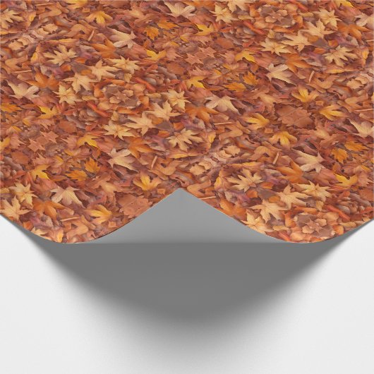 bladluis cadeaupapier (Hoek)