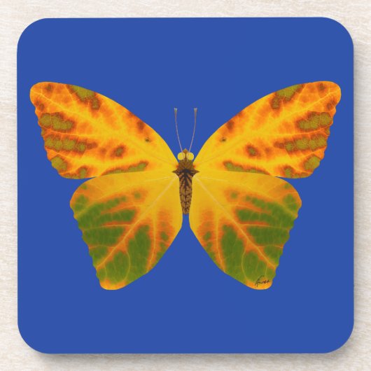 bladluzervlinder 1 bier onderzetter (Voorkant)