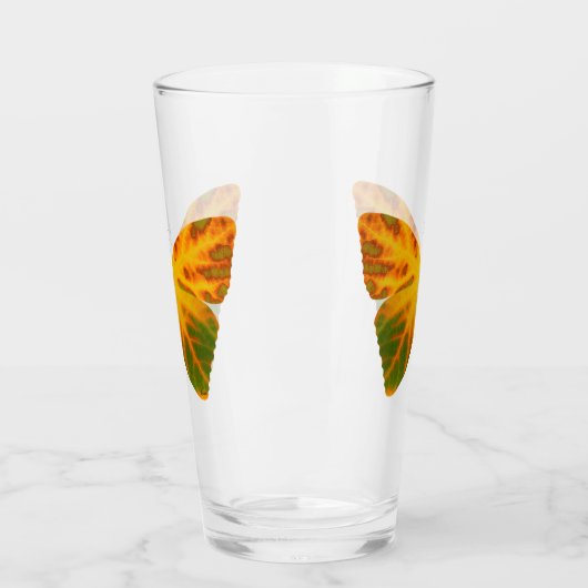 bladluzervlinder 1 glas (Links)