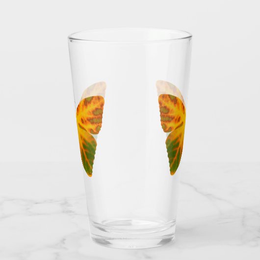 bladluzervlinder 1 glas (Rechts)