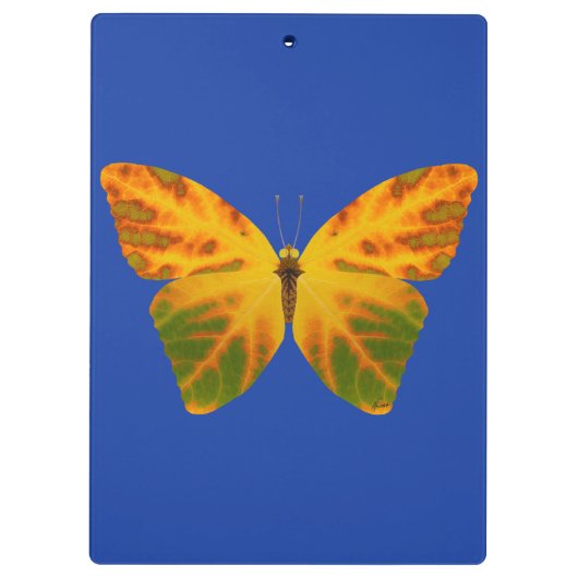 bladluzervlinder 1 klembord (Achterkant)