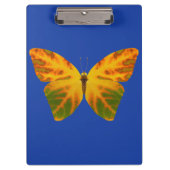 bladluzervlinder 1 klembord (Voorkant)